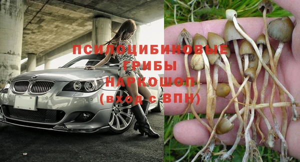jwh Медногорск