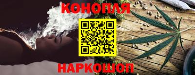 гашик Свободный