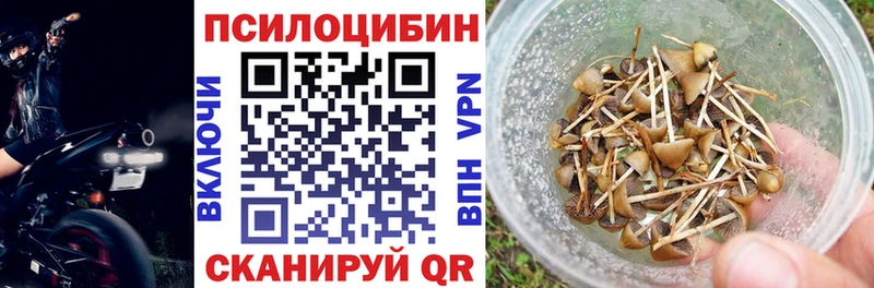 дарнет шоп  Сыктывкар  Галлюциногенные грибы GOLDEN TEACHER 