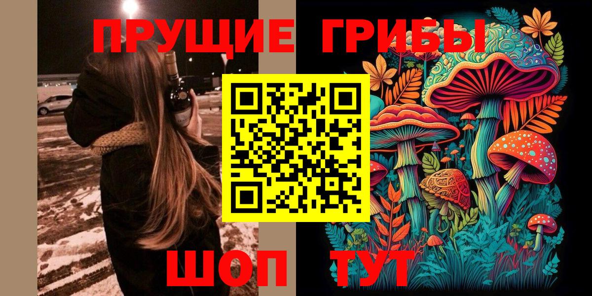Псилоцибиновые грибы прущие грибы  Галлюциногенные грибы GOLDEN TEACHER  Сыктывкар  Вход с VPN 