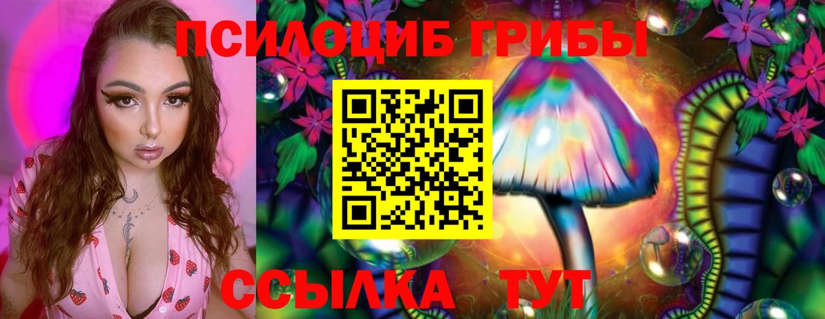 Галлюциногенные грибы прущие грибы Сыктывкар